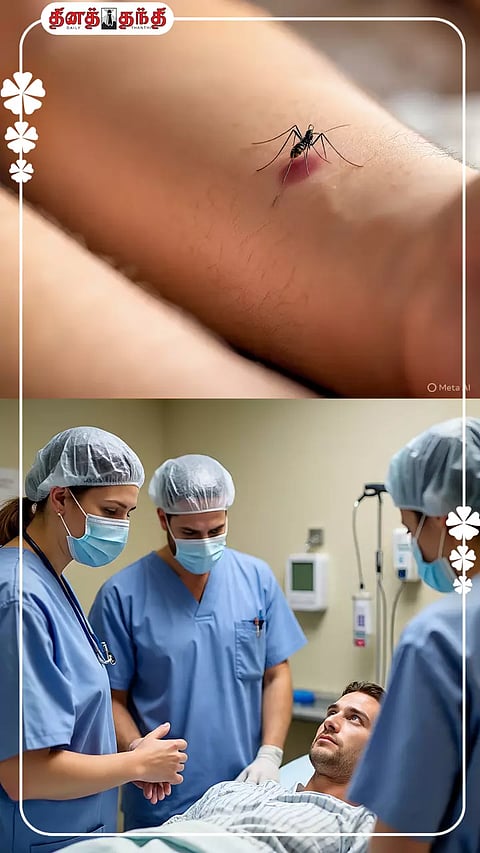 பரவும் டெங்கு காய்ச்சல்..பாதுகாப்பாக இருக்க செய்ய வேண்டியவை.!!