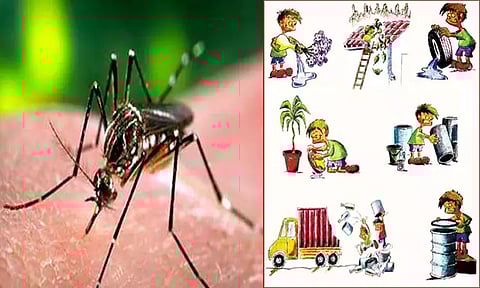 டெங்கு காய்ச்சல் வராமல் பாதுகாக்க மக்கள் செய்ய வேண்டியது என்ன?