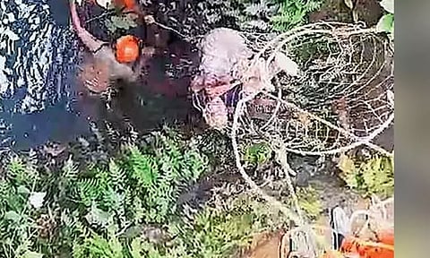 12 மணிநேரமாக கிணற்றுக்குள் தத்தளித்த முதியவர் மீட்பு