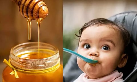பச்சிளம் குழந்தைக்கு தேன் கொடுக்கலாமா? - அப்படியானால் இதை தெரிந்து கொள்ளுங்கள்