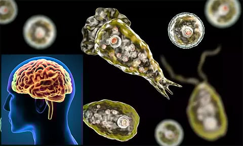 மூளையை உண்ணும் அமீபா... தற்காத்துக் கொள்ளும் வழிமுறைகள் என்ன?