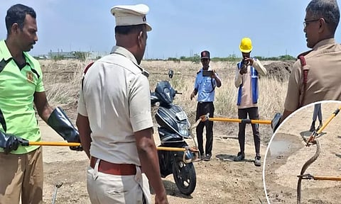 தூத்துக்குடியில் பைக்கில் பதுங்கிய நல்ல பாம்பு: தீயணைப்பு வீரர்கள் மீட்பு