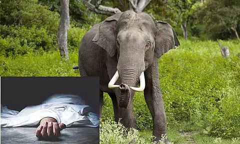 கோவை: காட்டு யானை தாக்கி பச்சிளம் குழந்தை உள்பட 2 பேர் பலி