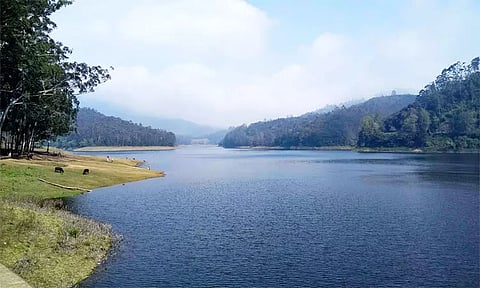 கொடைக்கானல் பேரிஜம் ஏரிக்கு செல்ல 2 நாட்கள் தடை