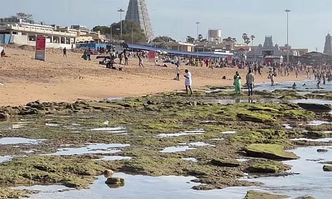 திருச்செந்தூரில் 2-வது நாளாக சுமார் 100 அடிக்கு உள்வாங்கிய கடல்