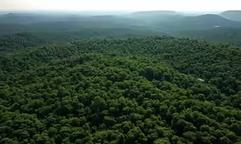 சுற்றுச்சூழல் பாதுகாப்பில் இந்தியா 9-வது இடத்துக்கு முன்னேற்றம் - ஐ.நா. அறிக்கையில் தகவல்