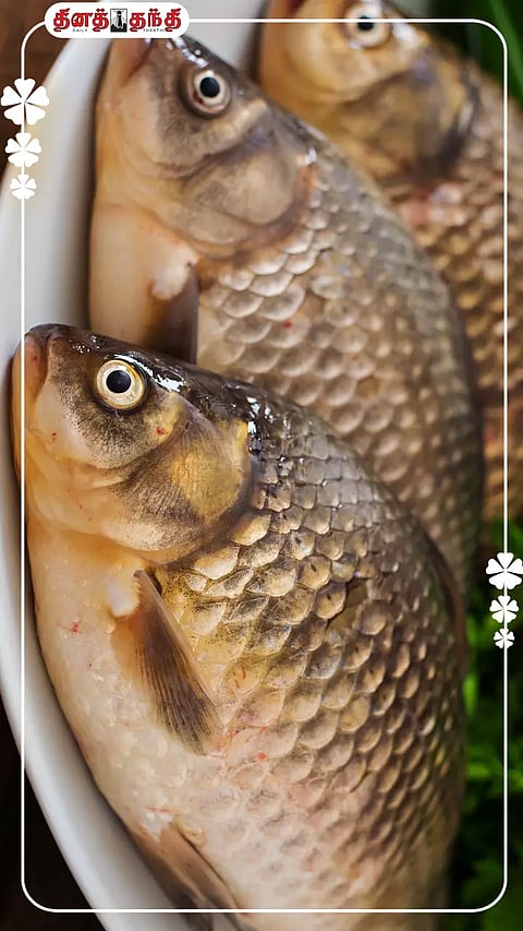 all photo using freepik