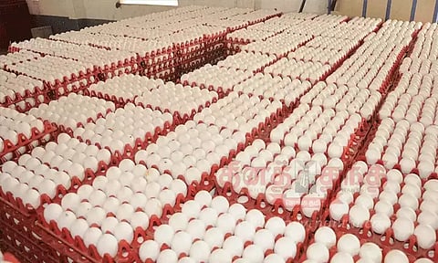 நாமக்கல் மண்டலத்தில் முட்டை விலை 5 காசுகள் உயர்வு