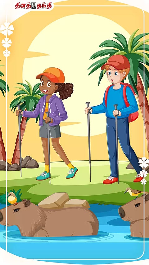 all photo using freepik