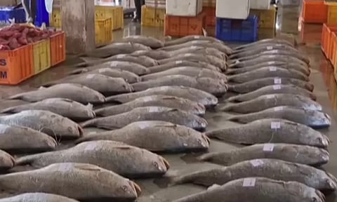 புயல் எச்சரிக்கை தடை முடிந்து கடலுக்கு சென்ற மீனவருக்கு அடித்த அதிர்ஷ்டம்