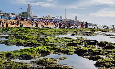 திருச்செந்தூரில் 100 அடி தூரம் உள்வாங்கிய கடல்