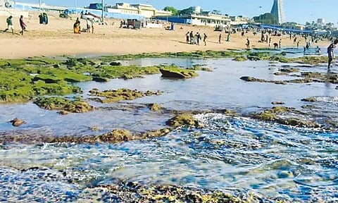 திருச்செந்தூரில் 2-வது நாளாக உள்வாங்கிய கடல்