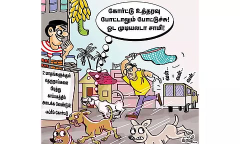 பொது இடங்களில் தெரு நாய்களுக்கு இடம் இல்லை