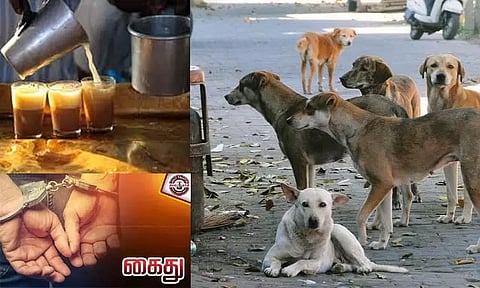 கடிக்க பாய்ந்ததால் தெரு நாயை அடித்து கொன்ற டீ கடைக்காரர்