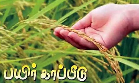 விவசாயிகளுக்கு அசத்தல் அறிவிப்பு... சம்பா பயிர் காப்பீடு செய்ய கால அவகாசம் நீட்டிப்பு