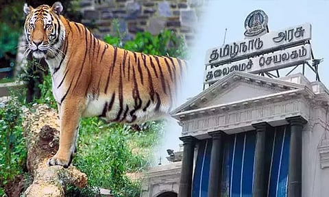 ஈரோடு: வாகனத்தில் சென்ற பயணிகளை புலி துரத்தியதா? - அரசு விளக்கம்