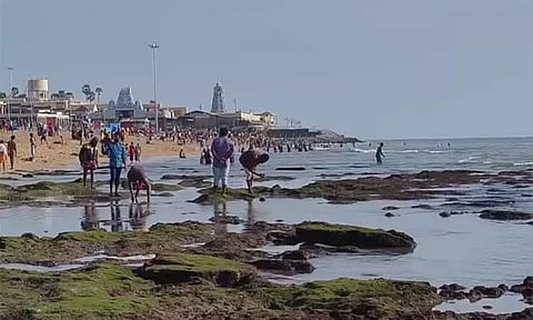 திருச்செந்தூரில் திடீரென 80 அடி தூரத்திற்கு உள்வாங்கிய கடல்