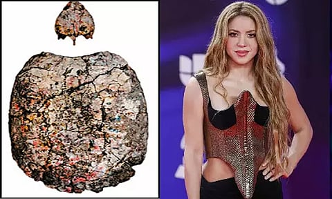 1.3 கோடி ஆண்டு பழமையான ஆமையின் புதைபடிவத்துக்கு ராப் பாடகி ஷகிராவின் பெயர் சூட்டல்