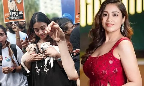 'We voted to protect dogs' - Nivetha Pethuraj