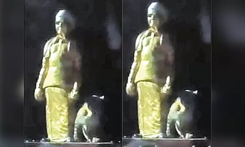 வால்பாறை: எம்.ஜி.ஆர். சிலை அருகே அமர்ந்த சிறுத்தைப்புலி