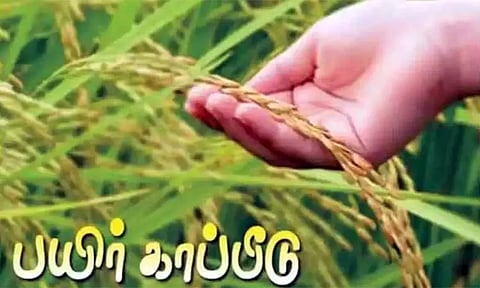 பயிர் காப்பீடு செய்யாத விவசாயிகள் நாளைக்குள் பதிவு செய்ய வேண்டும்: தமிழக அரசு தகவல்