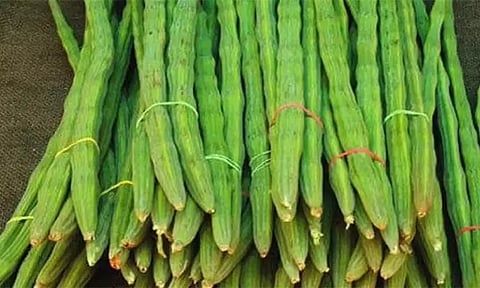 முருங்கைக்காய் விலை கிடுகிடு உயர்வு.. ஒரு கிலோ ரூ.600-க்கு விற்பனை.. எங்கு தெரியுமா..?