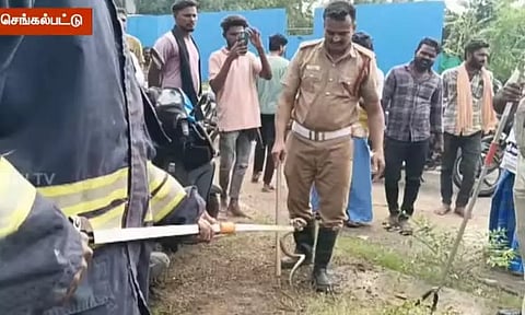 இருசக்கர வாகனத்திற்குள் பதுங்கியிருந்த நல்ல பாம்பு - 5 மணி நேரம் போராடி மீட்ட தீயணைப்பு வீரர்கள்