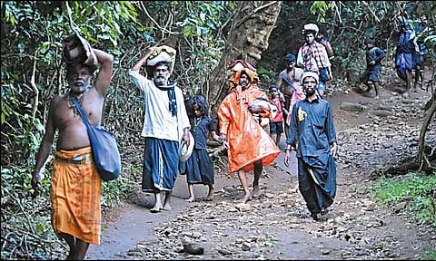 சபரிமலை தரிசனத்துக்கு பாரம்பரிய காட்டு வழி பயணம் வேண்டாம் - அய்யப்ப பக்தர்களுக்கு அறிவுறுத்தல்