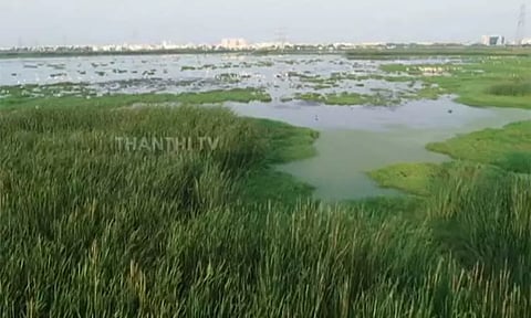 சதுப்பு நிலங்களை அளவிடும் பணி நிறைவு - ஐகோர்ட்டில் தமிழக அரசு தகவல்