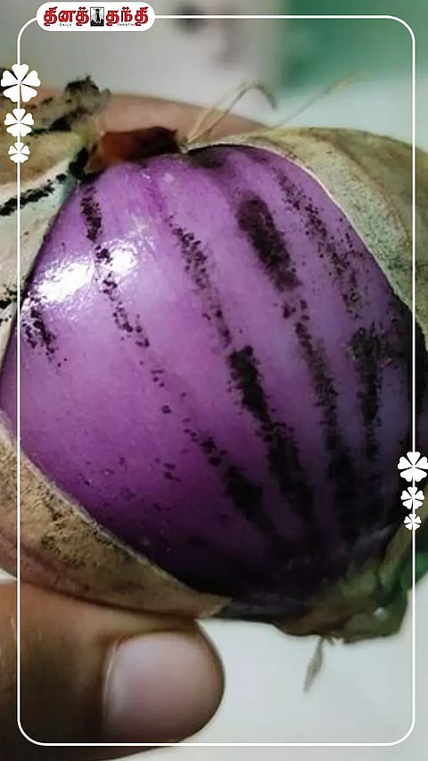 வெங்காயத்தை சுற்றிலும் இப்படி கருப்பு அச்சு உள்ளதா..? பிரச்சினை ஏற்படலாம்.!!