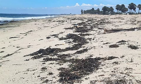 கோப்புபடம்