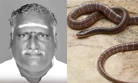 இன்சூரன்ஸ் பணத்துக்காக தந்தையை கொன்ற மகன்கள் - பாம்பை விட்டு கடிக்க வைத்தது அம்பலம்