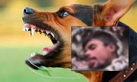 நாய் கடித்த சில மணி நேரங்களில் இளைஞருக்கு ஏற்பட்ட பாதிப்பு - உ.பி.யில் அதிர்ச்சி
