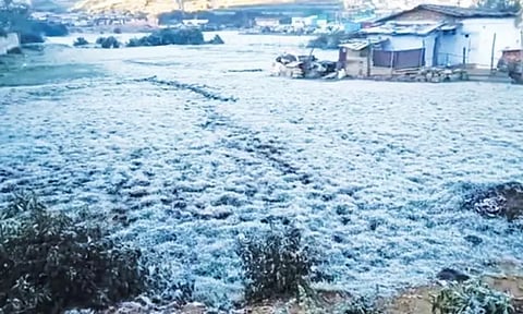 காஷ்மீர் போல மாறிய ஊட்டி: உறை பனிப்பொழிவு அதிகரிப்பு- குவியும் சுற்றுலாப்பயணிகள்