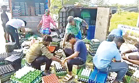 விழுப்புரம் அருகே சரக்கு வாகனம் கவிழ்ந்து ரூ.1 லட்சம் முட்டைகள் சேதம்