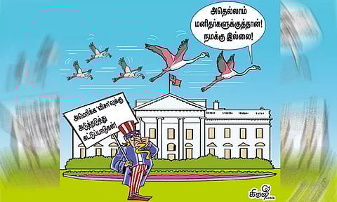 அமெரிக்க விசாவுக்கு இவ்வளவு கட்டுப்பாடுகளா..?