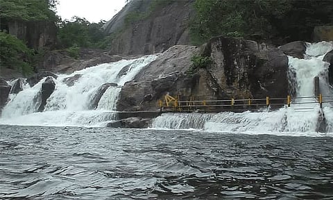 மணிமுத்தாறு அருவியில் வெள்ளப்பெருக்கு - சுற்றுலா பயணிகளுக்கு தடை