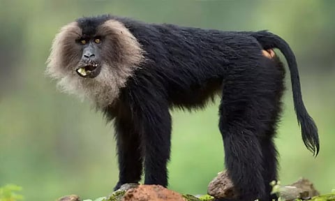 கோப்புப்படம்