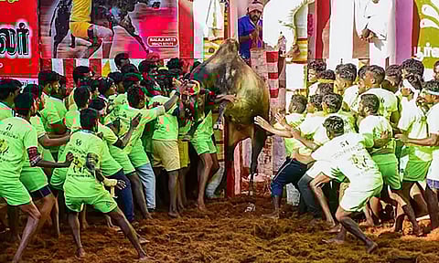 அவனியாபுரம், பாலமேடு, அலங்காநல்லூர் ஜல்லிக்கட்டு நடைபெறும் பகுதிகளில் 2 ஆயிரம் போலீசார் பாதுகாப்பு