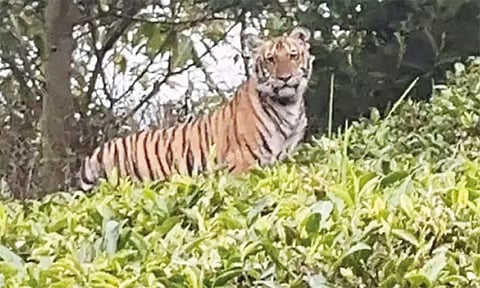 கோப்புப்படம்