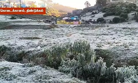 கொடைக்கானலில் மீண்டும் உறைபனி