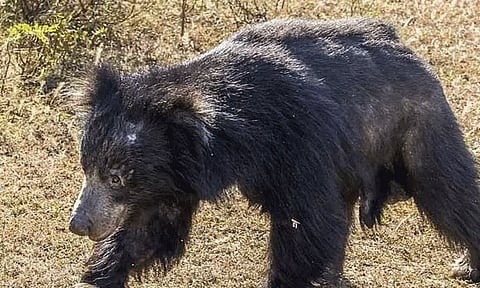 கோப்புப்படம்