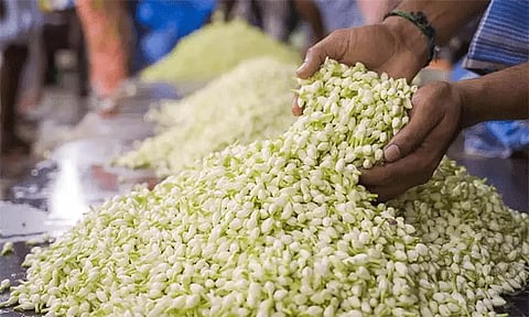 பொங்கல் எதிரொலி... ராக்கெட் வேகத்தில் உயரும் மல்லிகை பூ விலை.!