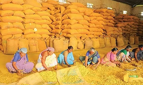 பொங்கல் பண்டிகை: ஈரோடு மஞ்சள் மார்க்கெட்டுக்கு 5 நாட்கள் விடுமுறை