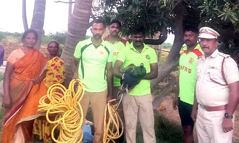 கிணற்றில் விழுந்த மயில்- தீயணைப்பு வீரர்கள் மீட்டனர்
