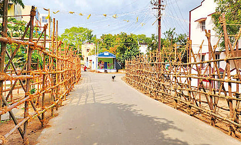 பாலமேடு, அலங்காநல்லூரில் ஜல்லிக்கட்டு போட்டிக்கான ஏற்பாடுகள் விறுவிறுப்பு