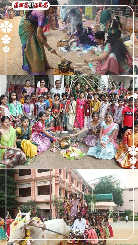 பள்ளி மற்றும் கல்லூரியில் பொங்கல் விழா கோலாகல கொண்டாட்டம்.!