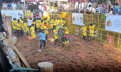 அவனியாபுரம் ஜல்லிக்கட்டு 2-வது சுற்று நிறைவு: 7 காளைகளை அடக்கி பிரகாஷ் என்பவர் முதலிடம்