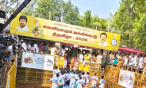 அவனியாபுரம் ஜல்லிக்கட்டு: காயமடைந்தவர்கள் விவரம் வெளியீடு