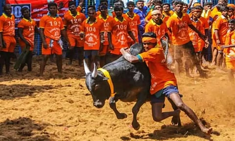 சற்று நேரத்தில் தொடங்குகிறது பாலமேடு ஜல்லிக்கட்டு - உதயநிதி ஸ்டாலின் தொடங்கி வைக்கிறார்